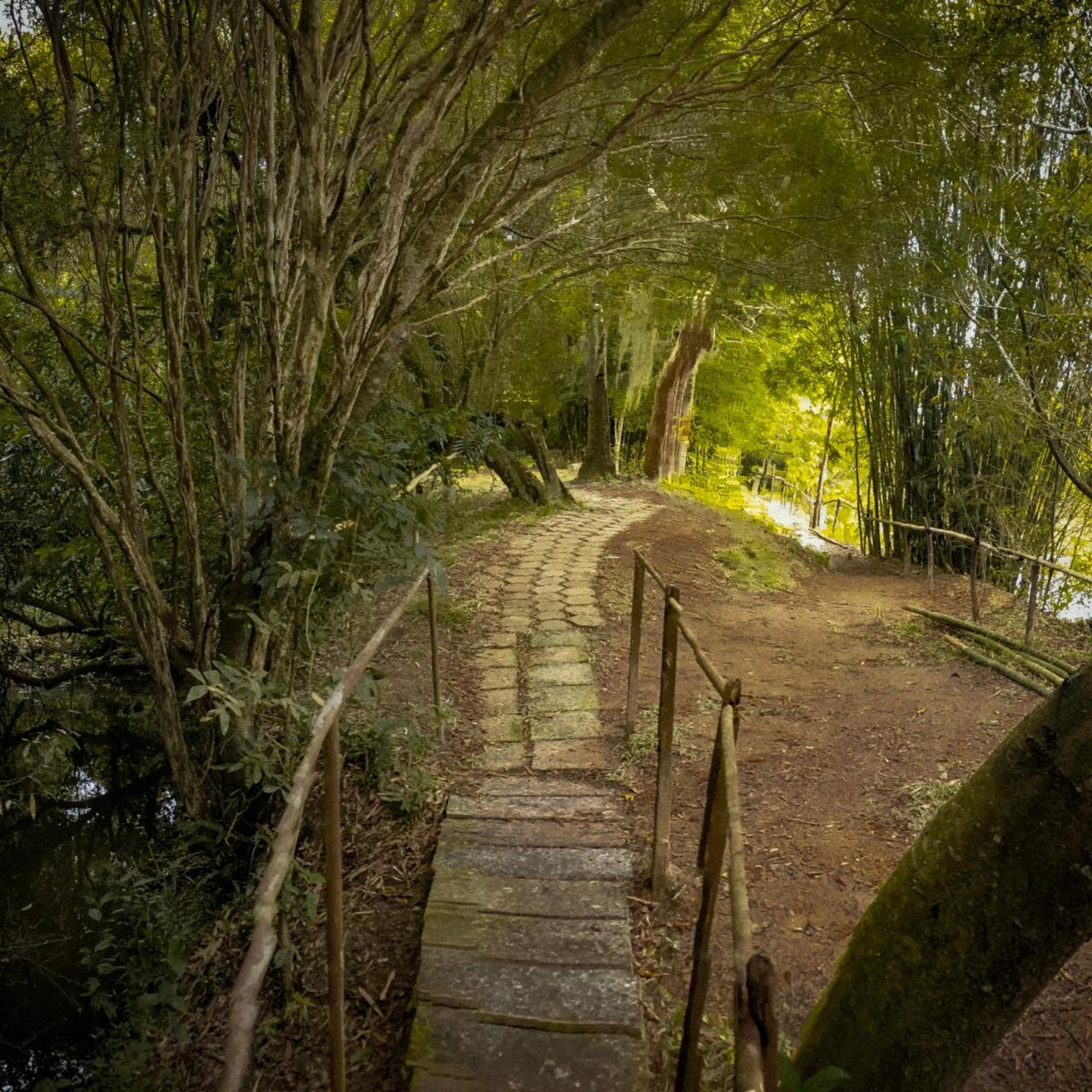 Da Gibinha Campina do Monte Alegre